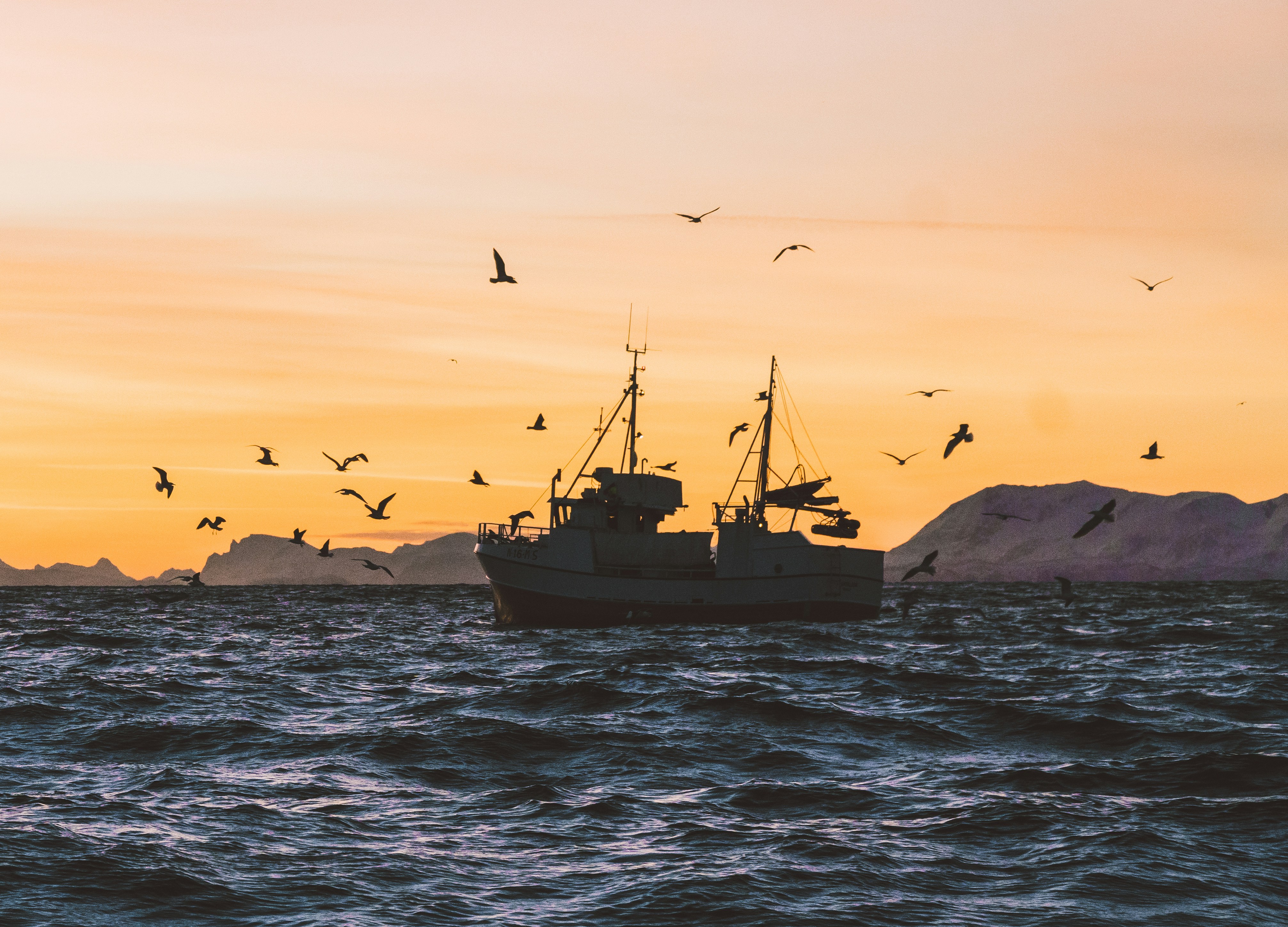 knut troim gwbjobpuiy8 unsplash