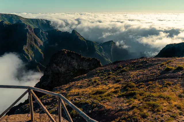 madeira najaar