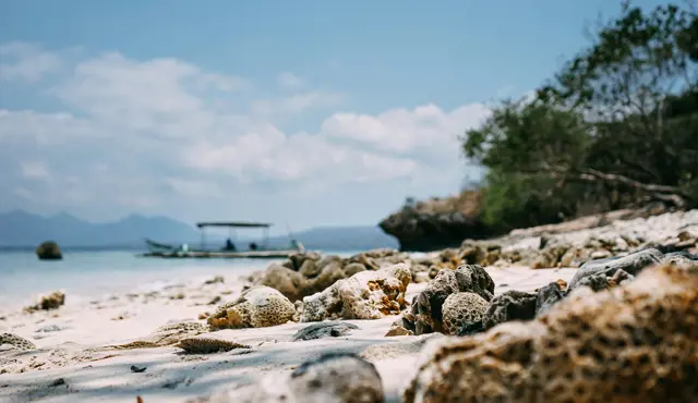 menjangan island indonesia