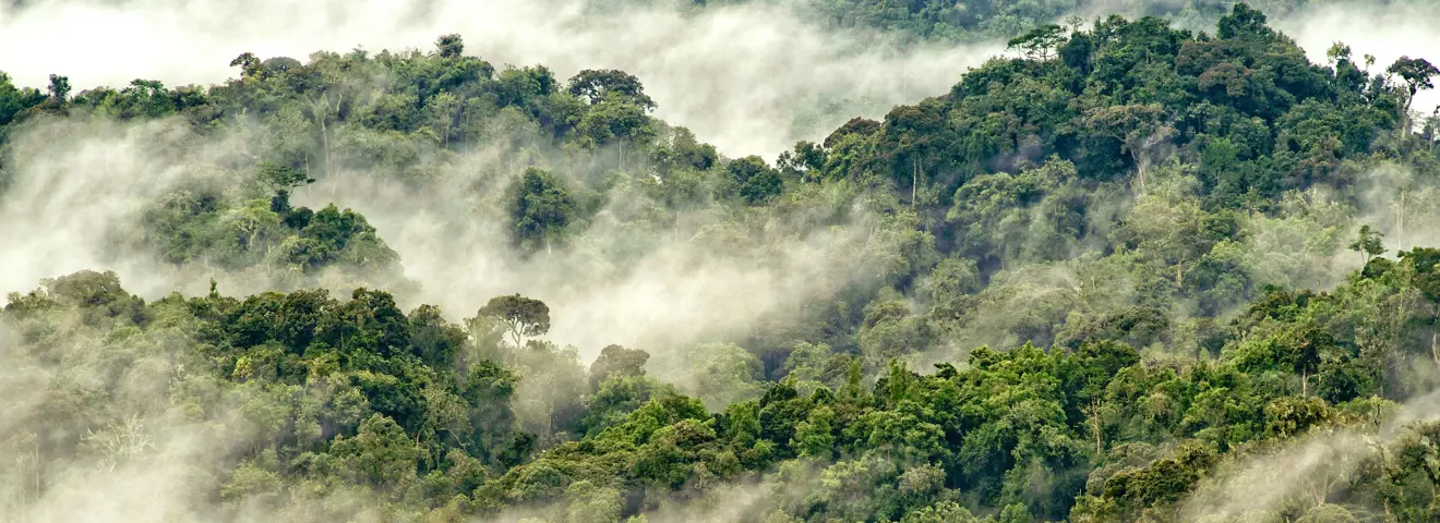 nature in rwanda