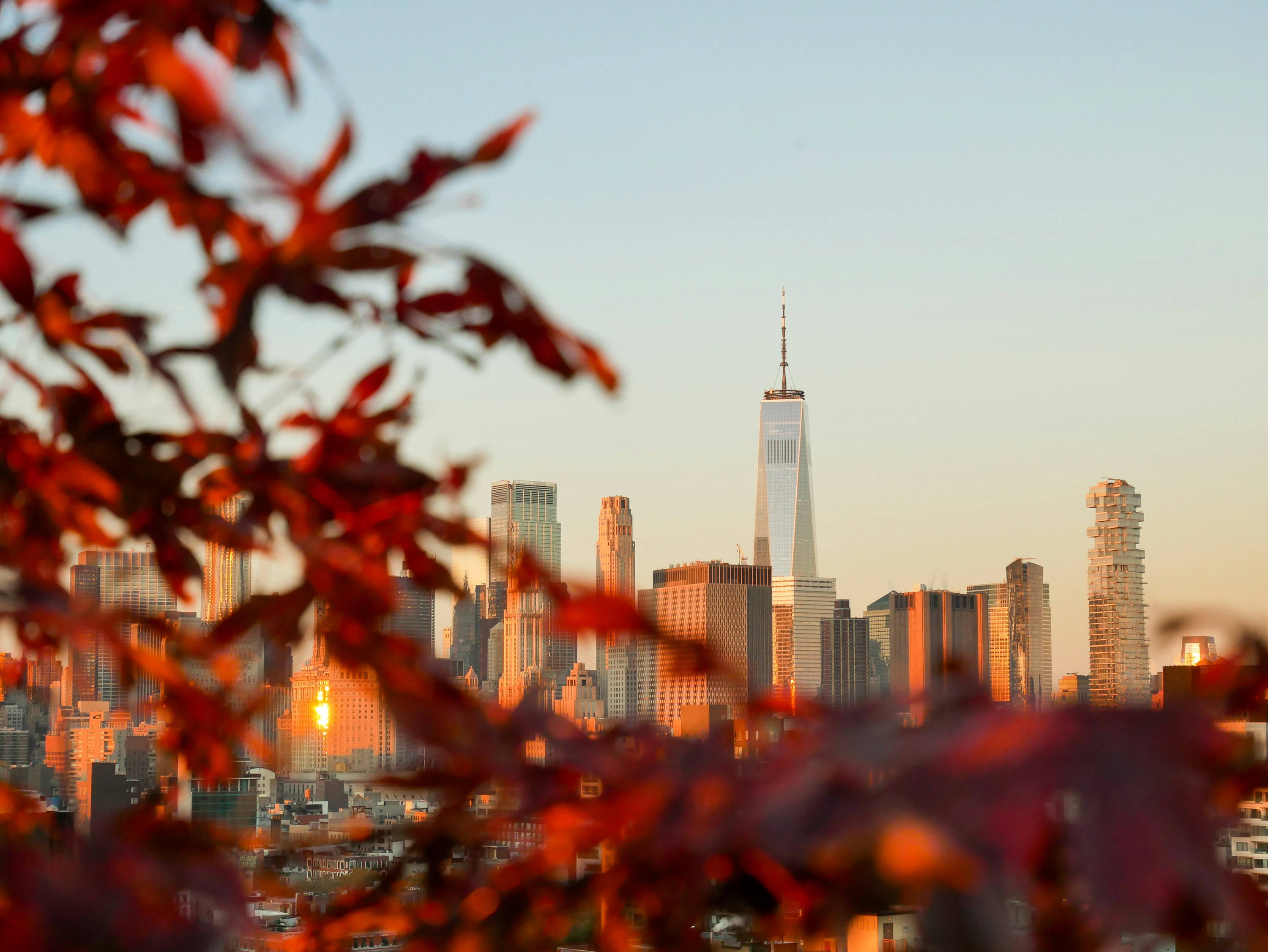 Wat doen in New York? Praktische tips na 20 km wandelen per dag