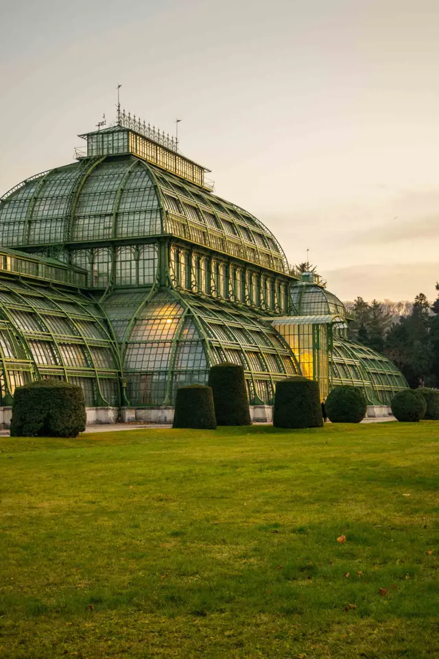 palmenhaus wenen