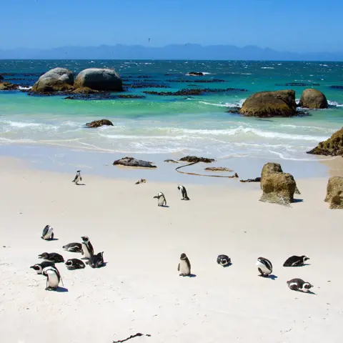 De mooiste rondreis door Zuid-Afrika: wild, stijlvol en onvergetelijk