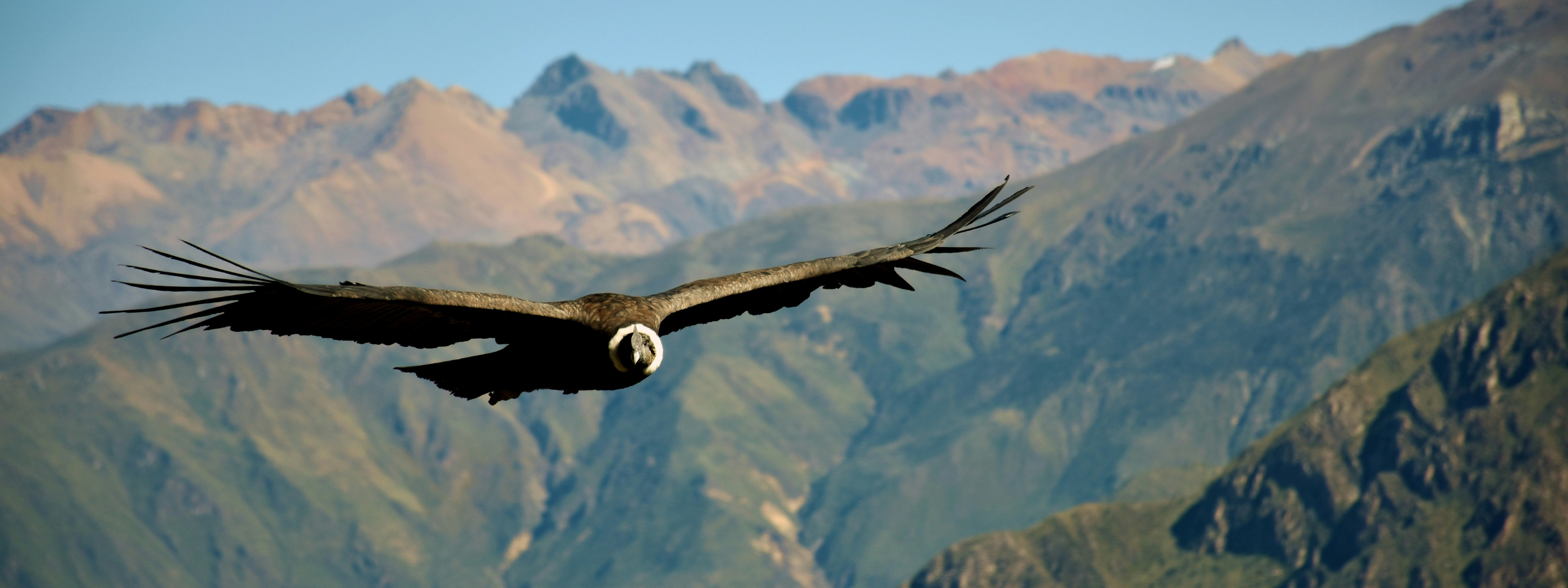 rondreis peru 3 weken