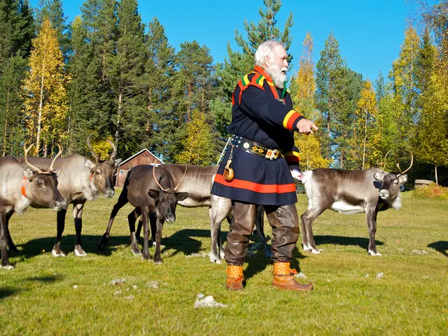 sami in lapland