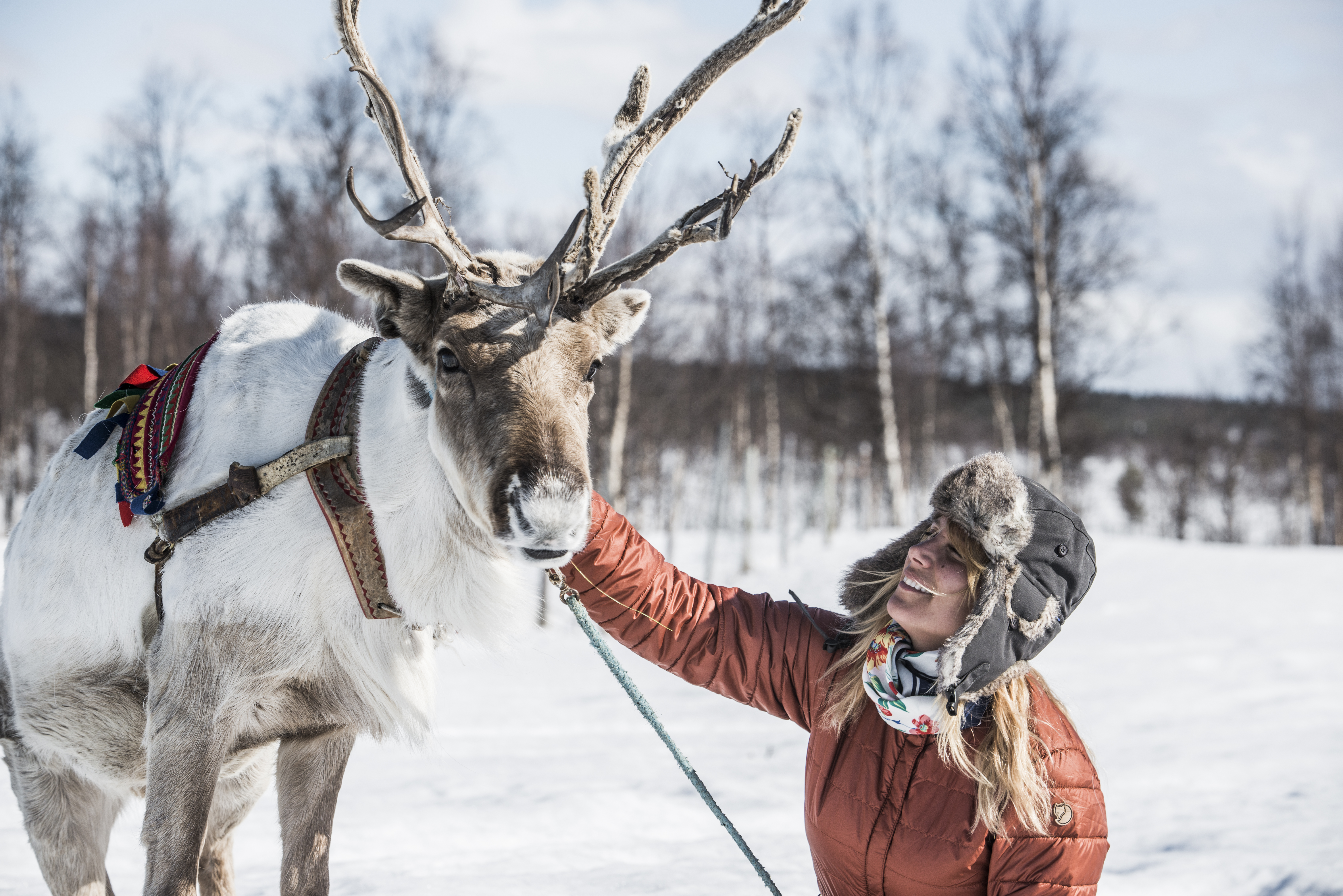 serr0001 zweeds lapland 19