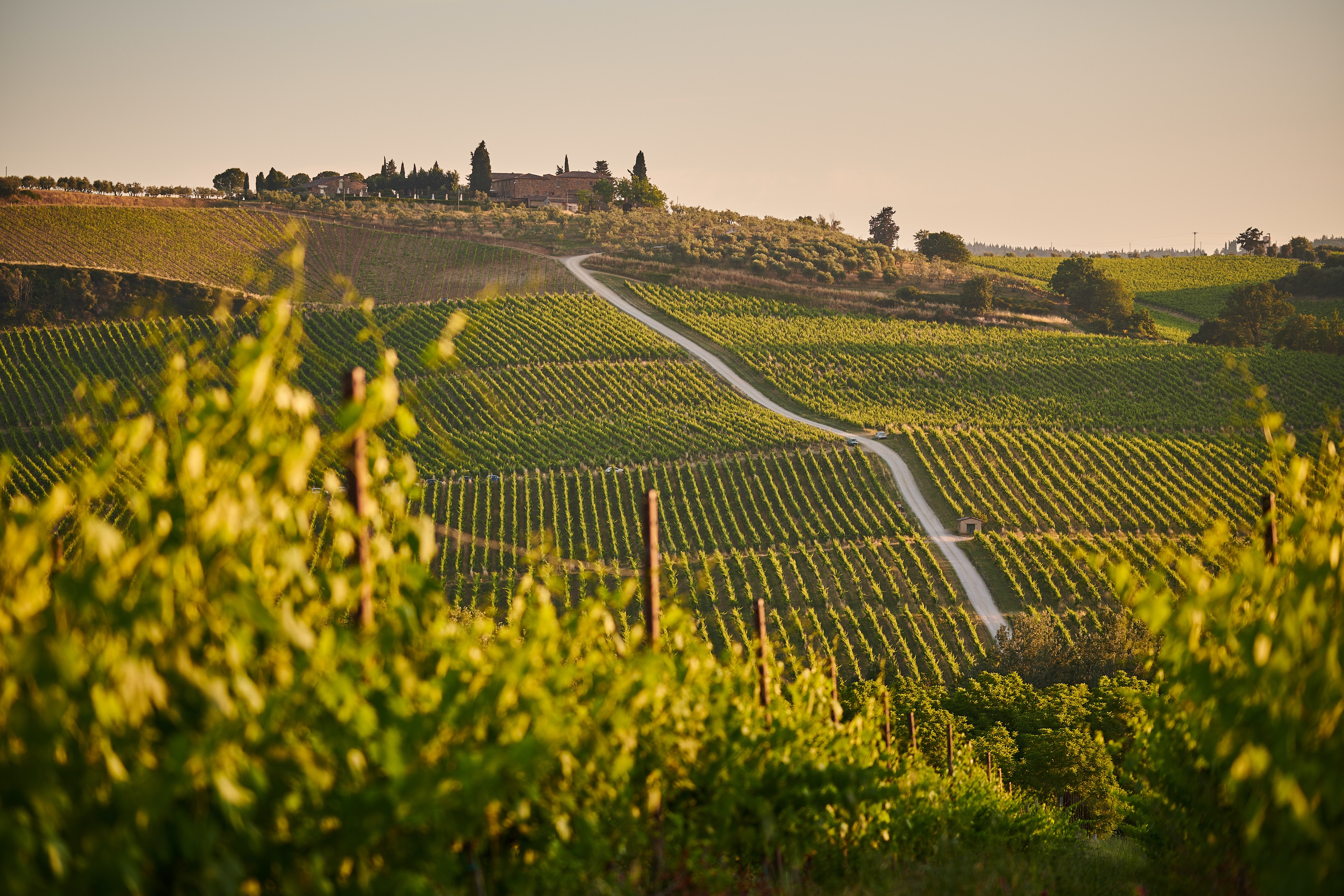toscane