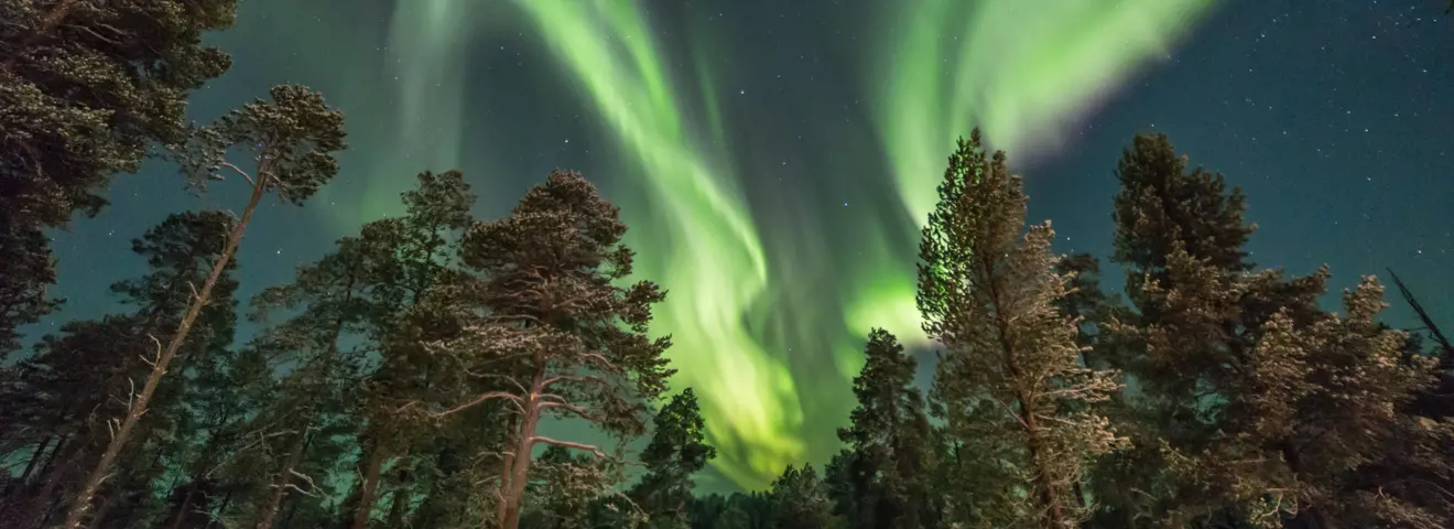 wat is het verschil tussen zweeds en fins lapland