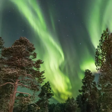 Wat is het verschil tussen Zweeds en Fins Lapland?