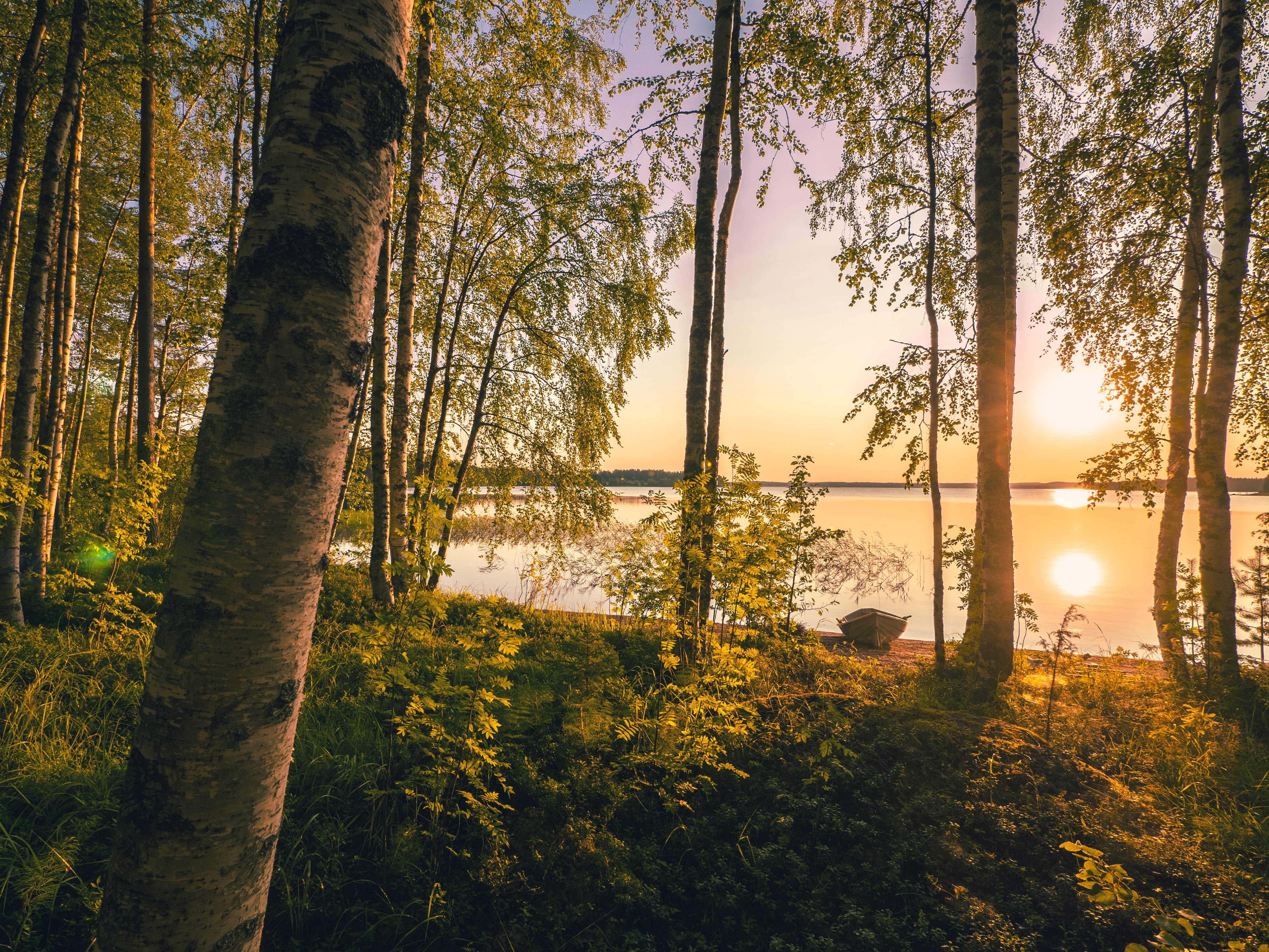 zomers fins lapland
